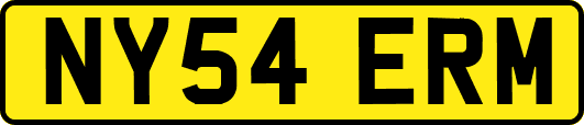 NY54ERM