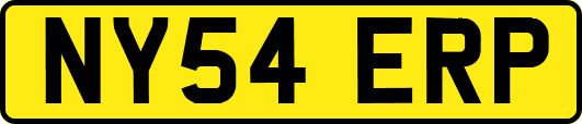 NY54ERP