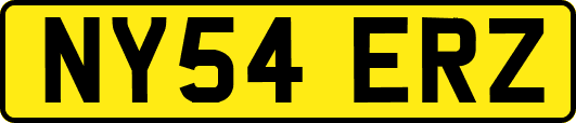 NY54ERZ