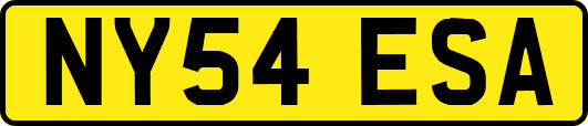 NY54ESA