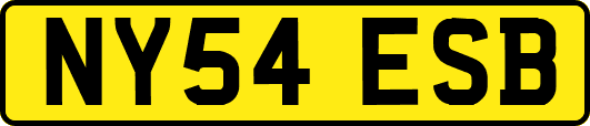 NY54ESB