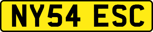 NY54ESC