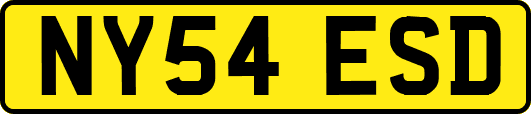 NY54ESD