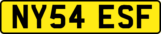 NY54ESF