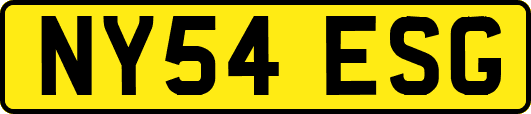 NY54ESG
