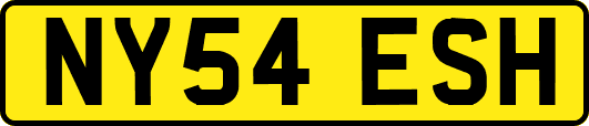 NY54ESH