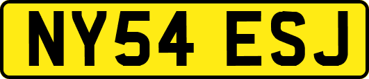 NY54ESJ