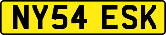 NY54ESK