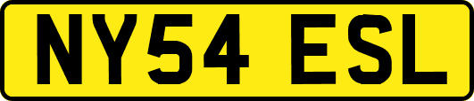 NY54ESL