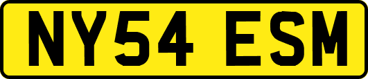 NY54ESM