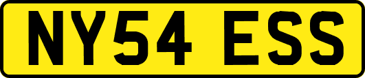 NY54ESS