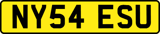NY54ESU