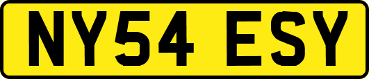 NY54ESY