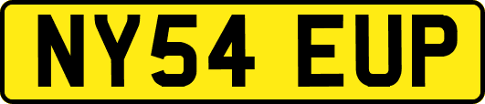 NY54EUP