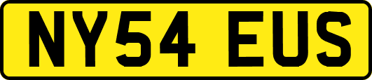 NY54EUS