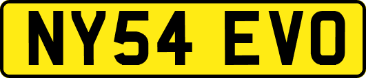 NY54EVO