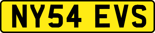 NY54EVS
