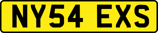 NY54EXS