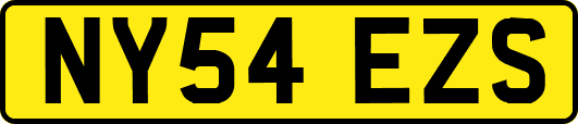 NY54EZS