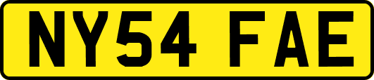 NY54FAE