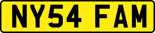 NY54FAM