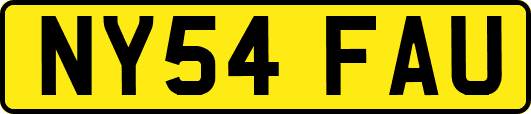 NY54FAU