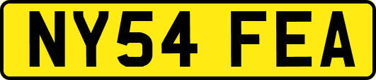 NY54FEA