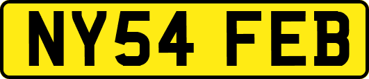 NY54FEB