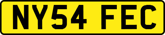 NY54FEC