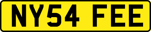NY54FEE
