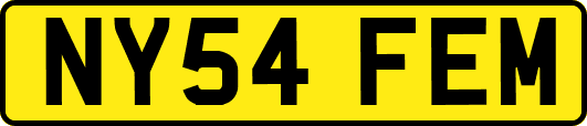 NY54FEM