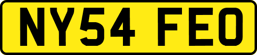 NY54FEO