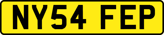 NY54FEP