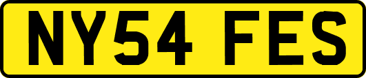 NY54FES