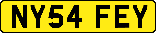 NY54FEY