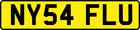 NY54FLU
