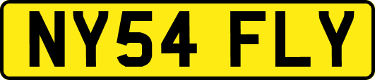 NY54FLY