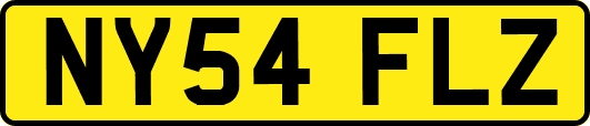 NY54FLZ