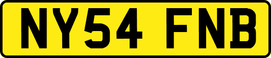 NY54FNB
