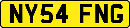 NY54FNG