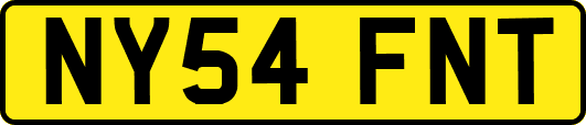 NY54FNT