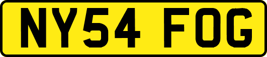 NY54FOG