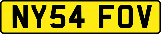 NY54FOV