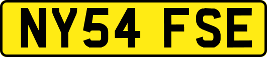 NY54FSE