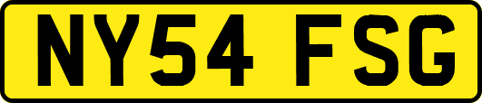 NY54FSG