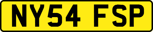 NY54FSP