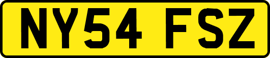 NY54FSZ