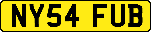 NY54FUB