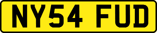 NY54FUD