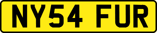 NY54FUR